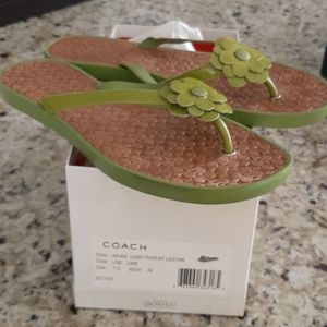 Lindy Patent Leather Thong Sandal